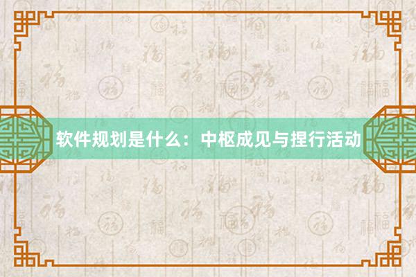 软件规划是什么：中枢成见与捏行活动