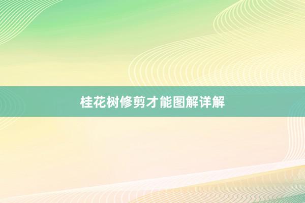 桂花树修剪才能图解详解